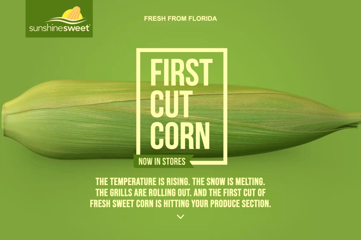 First Cut Corn website preview